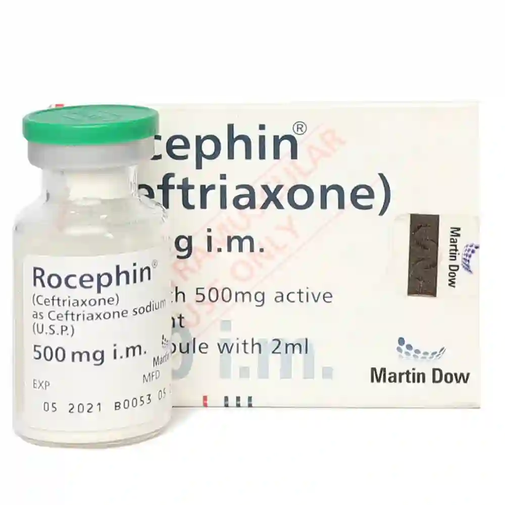 Rocephin 500mg I M Injection Uses Side Effects Price In Pakistan rocephin-500mg-i-m-injection-uses-side-effects-price-in-pakistan