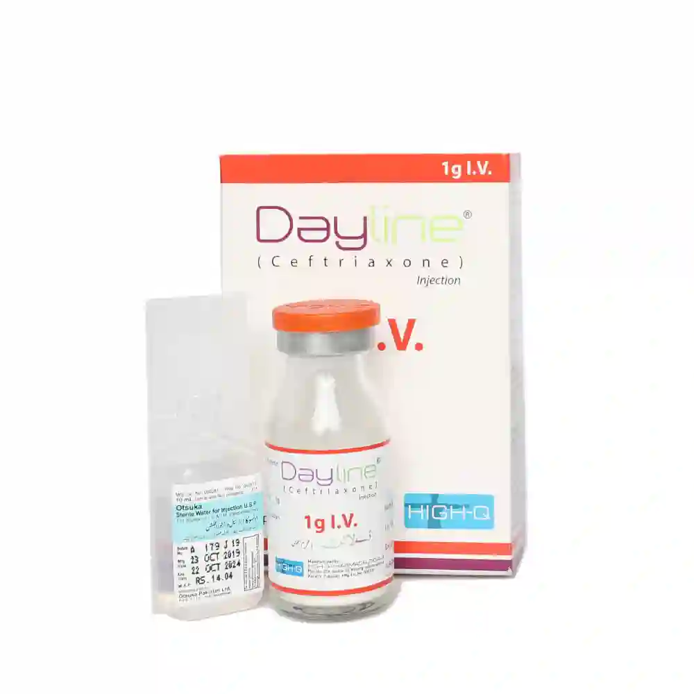 Dayline 1g2