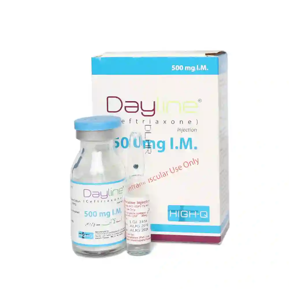Dayline 500mg2