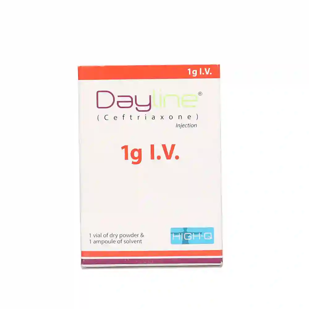 Dayline 1g